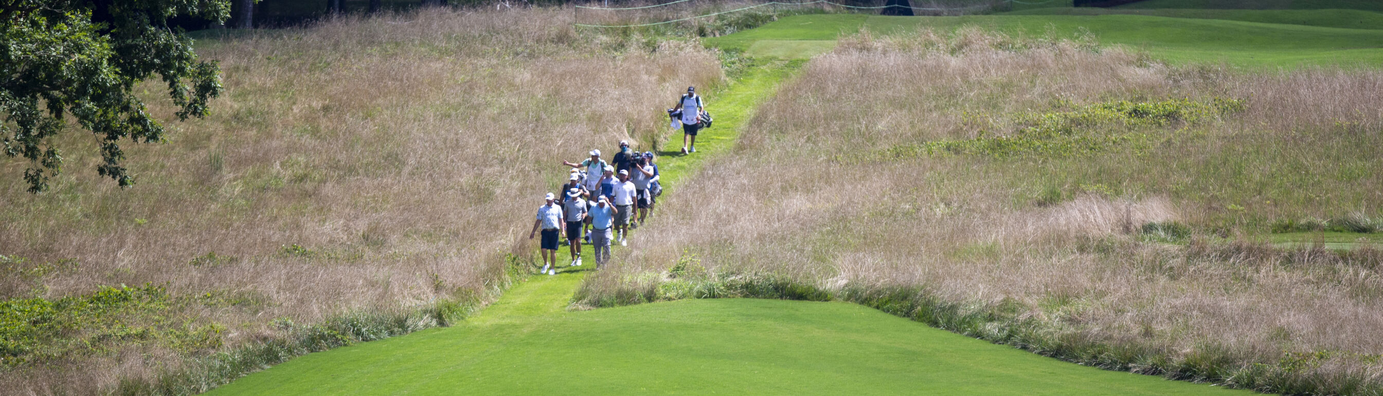 Wyndham Practice